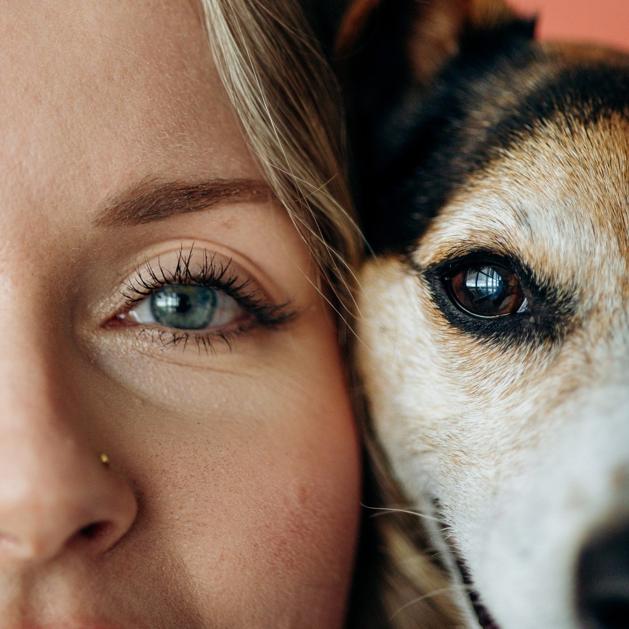 Отзывы. Фотограф — Анималист | Санкт-Петербург