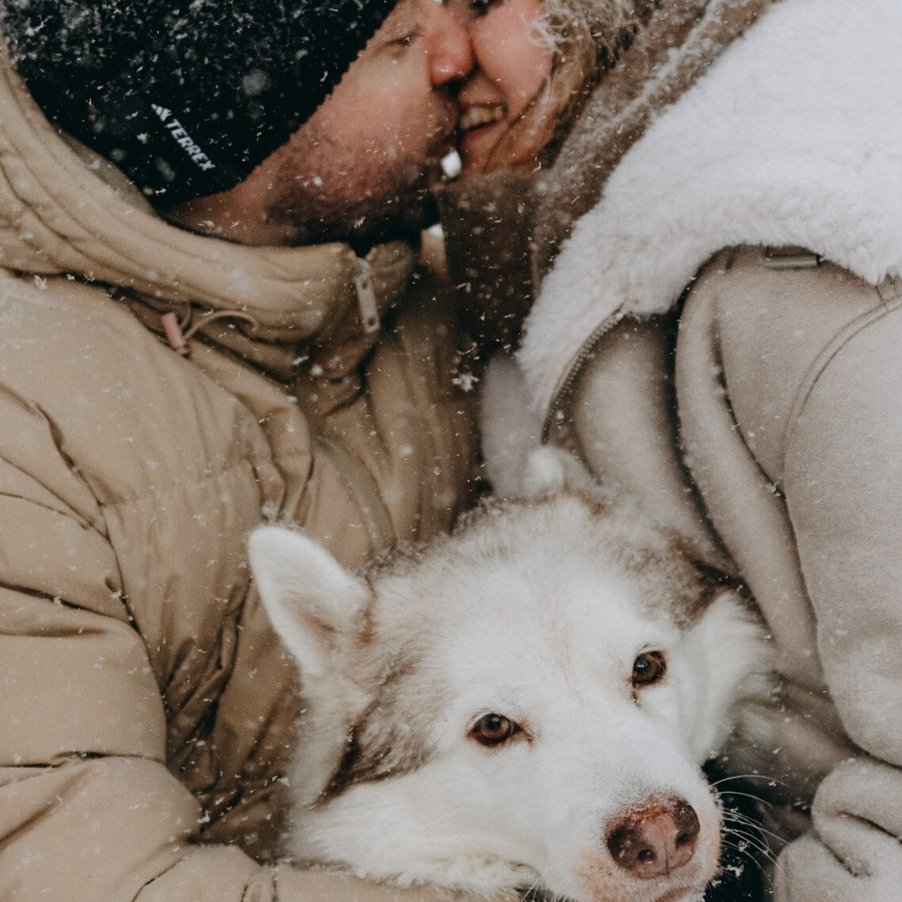 Отзывы. Фотограф — Анималист | Санкт-Петербург