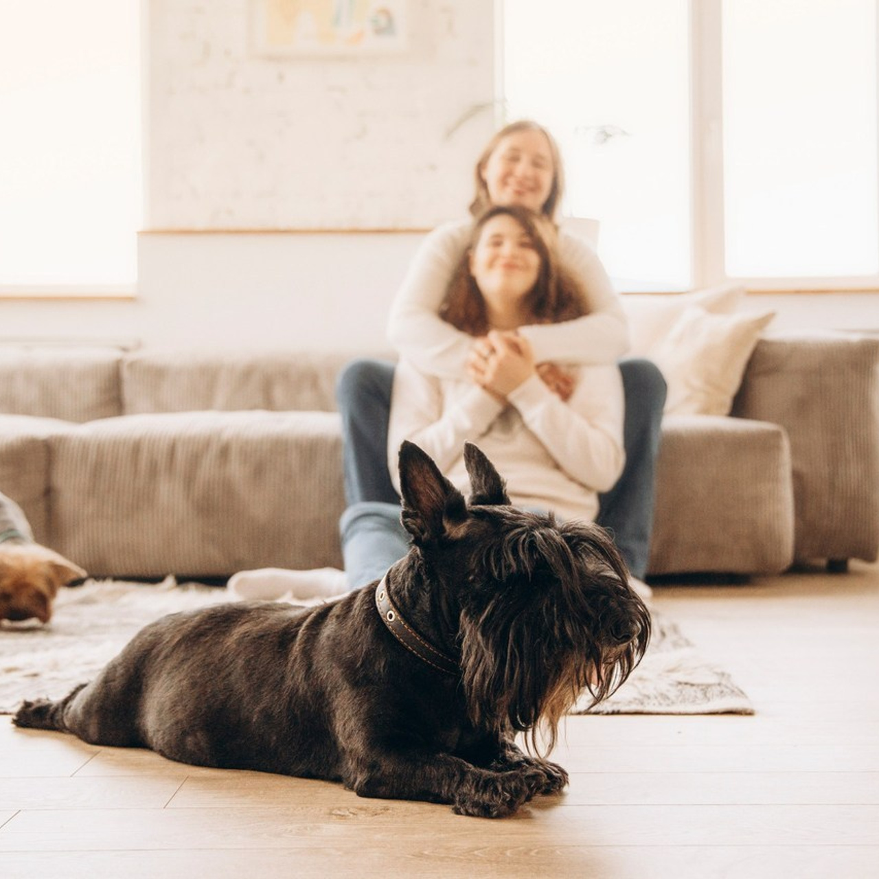 Отзывы. Фотограф — Анималист | Санкт-Петербург