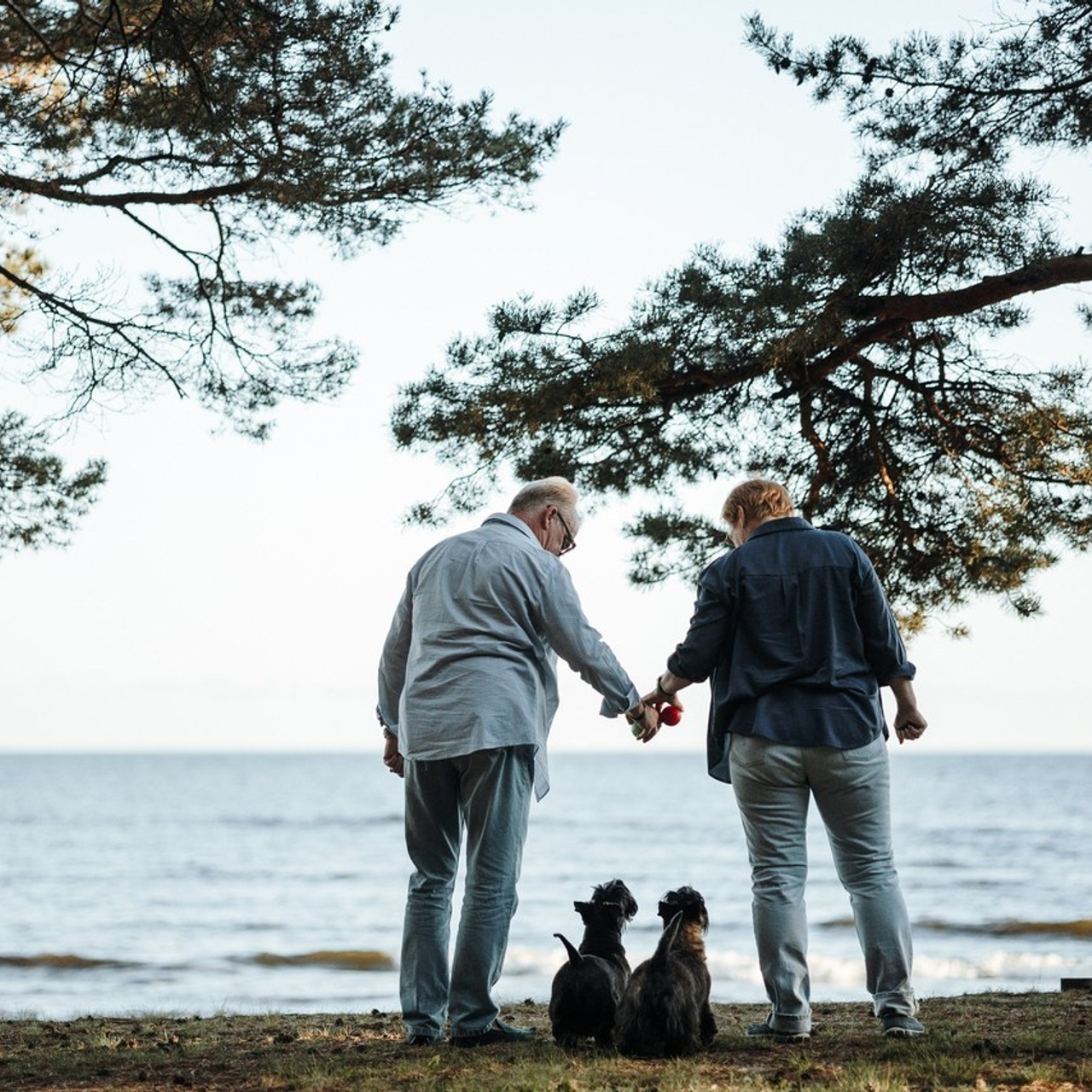 Отзывы. Фотограф — Анималист | Санкт-Петербург