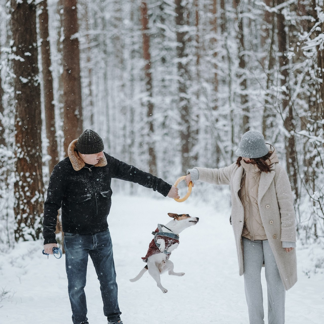 Отзывы. Фотограф — Анималист | Санкт-Петербург