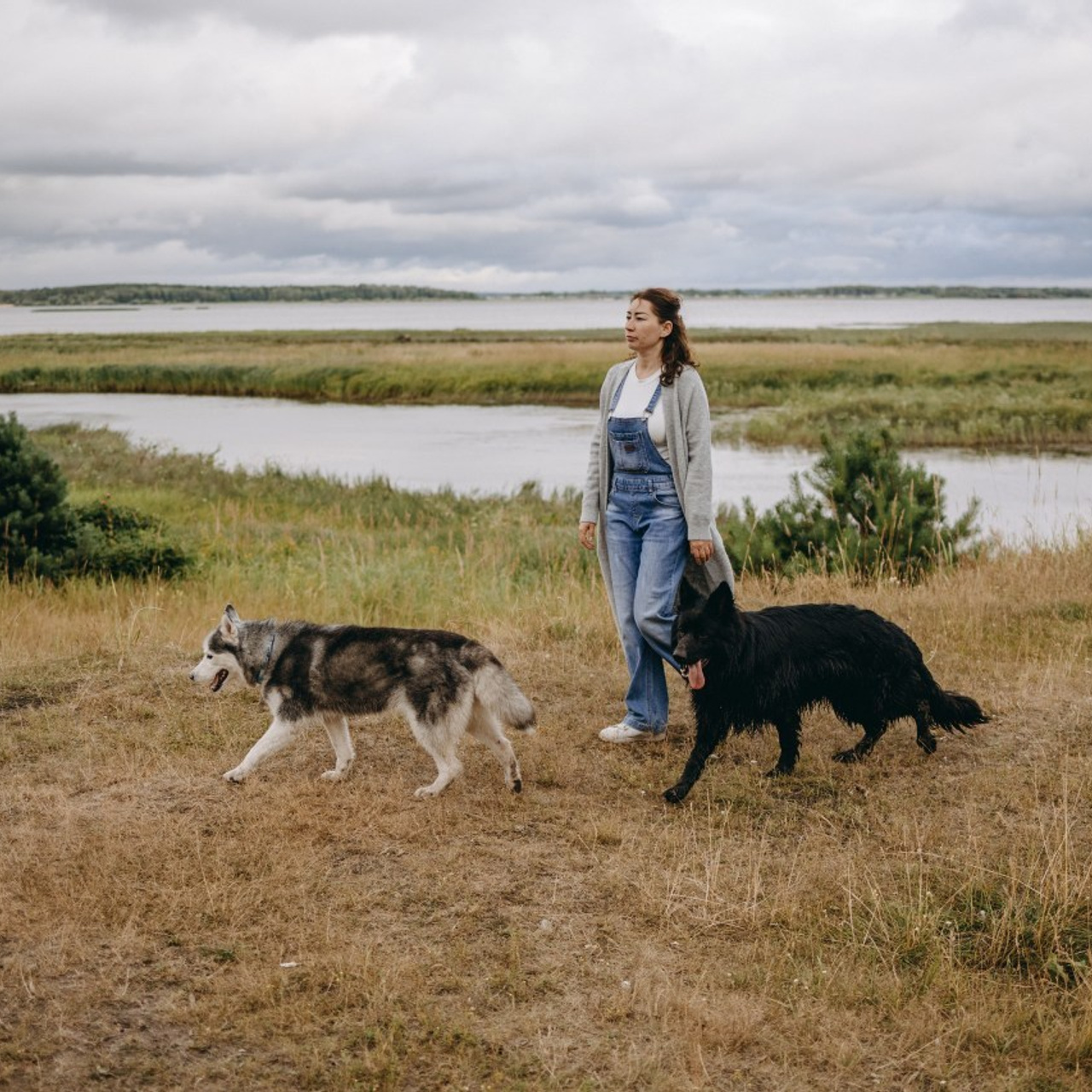 Отзывы. Фотограф — Анималист | Санкт-Петербург