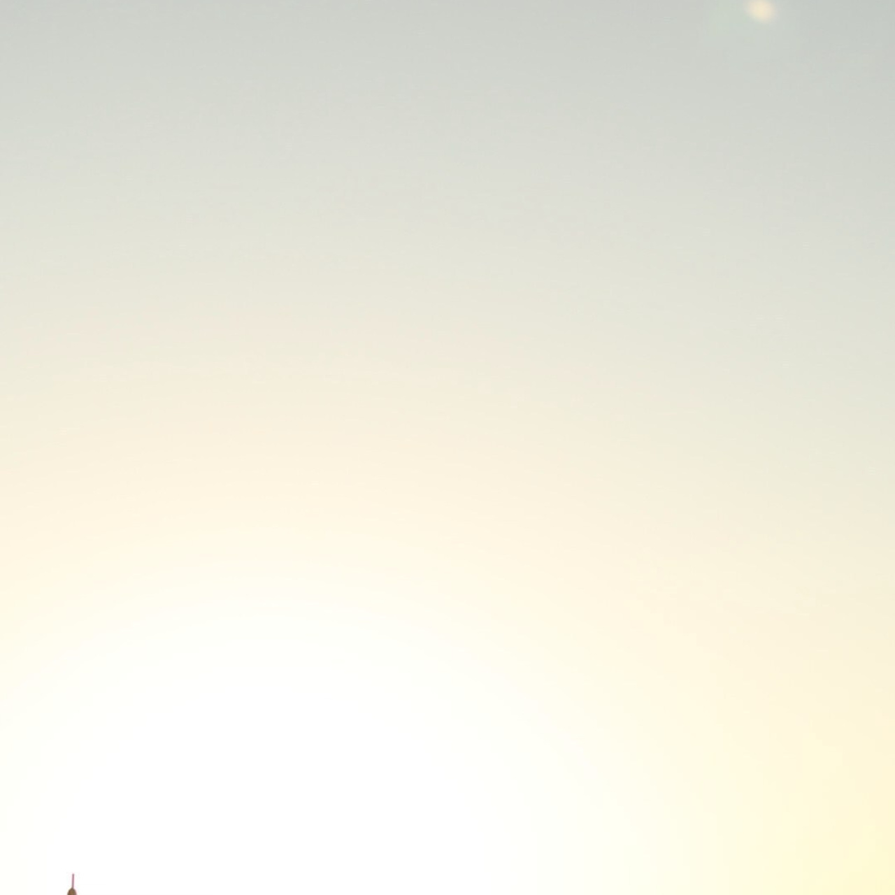 Отзывы. Фотограф — Анималист | Санкт-Петербург