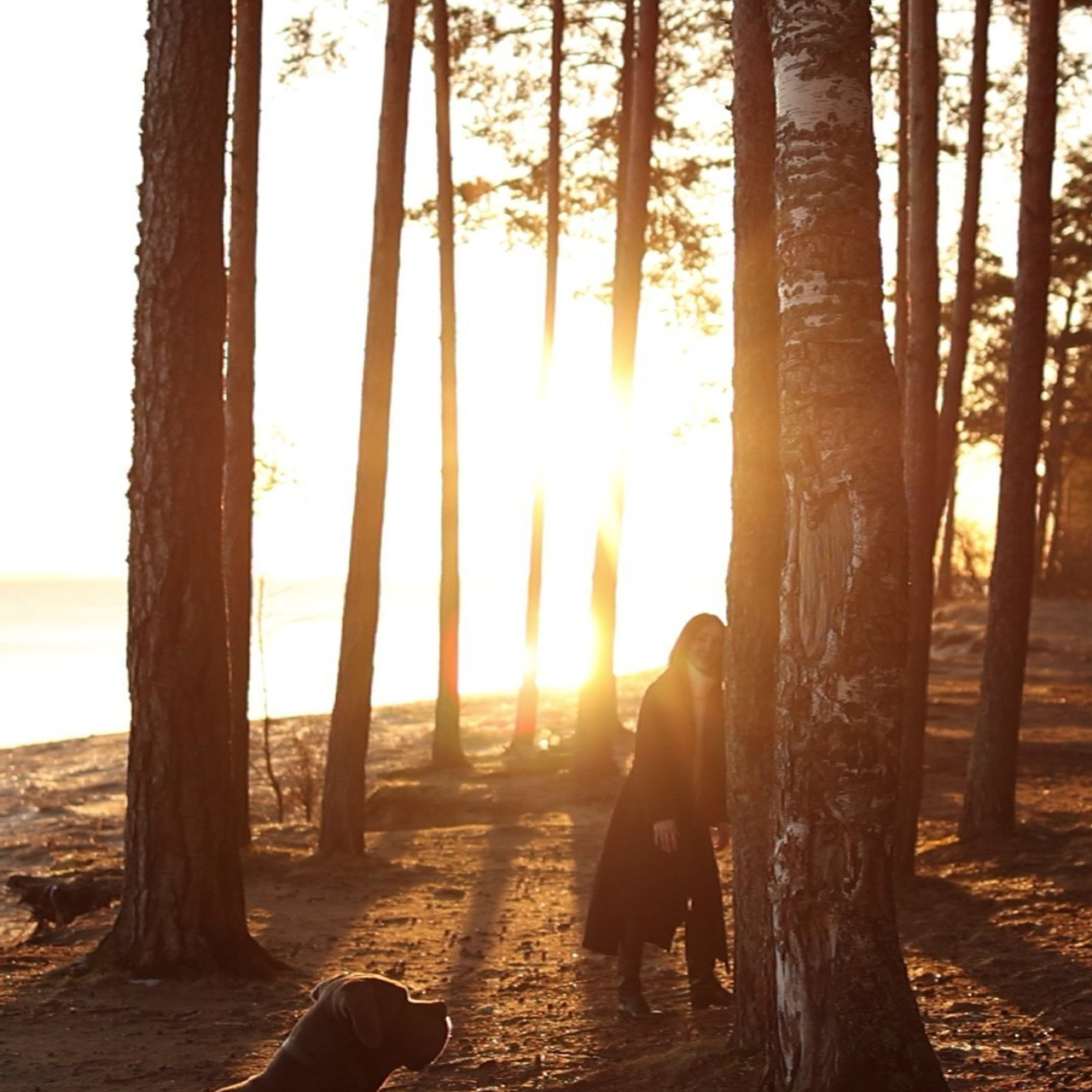 Отзывы. Фотограф — Анималист | Санкт-Петербург