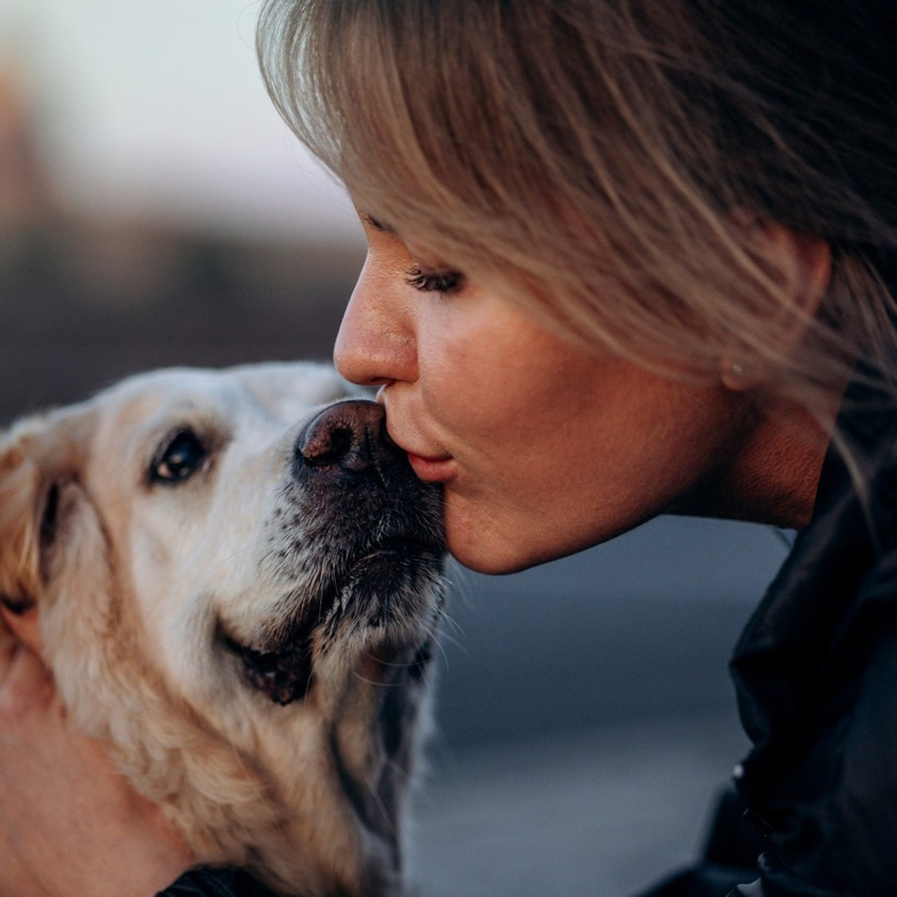 Отзывы. Фотограф — Анималист | Санкт-Петербург