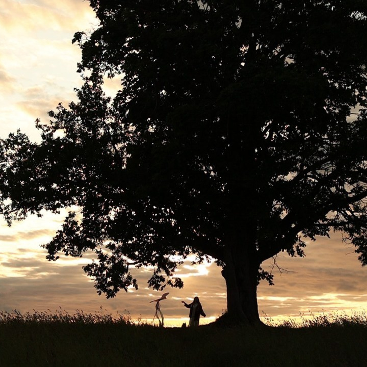 Отзывы. Фотограф — Анималист | Санкт-Петербург