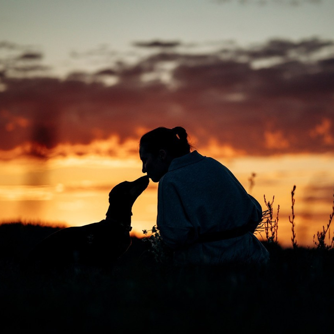 Отзывы. Фотограф — Анималист | Санкт-Петербург