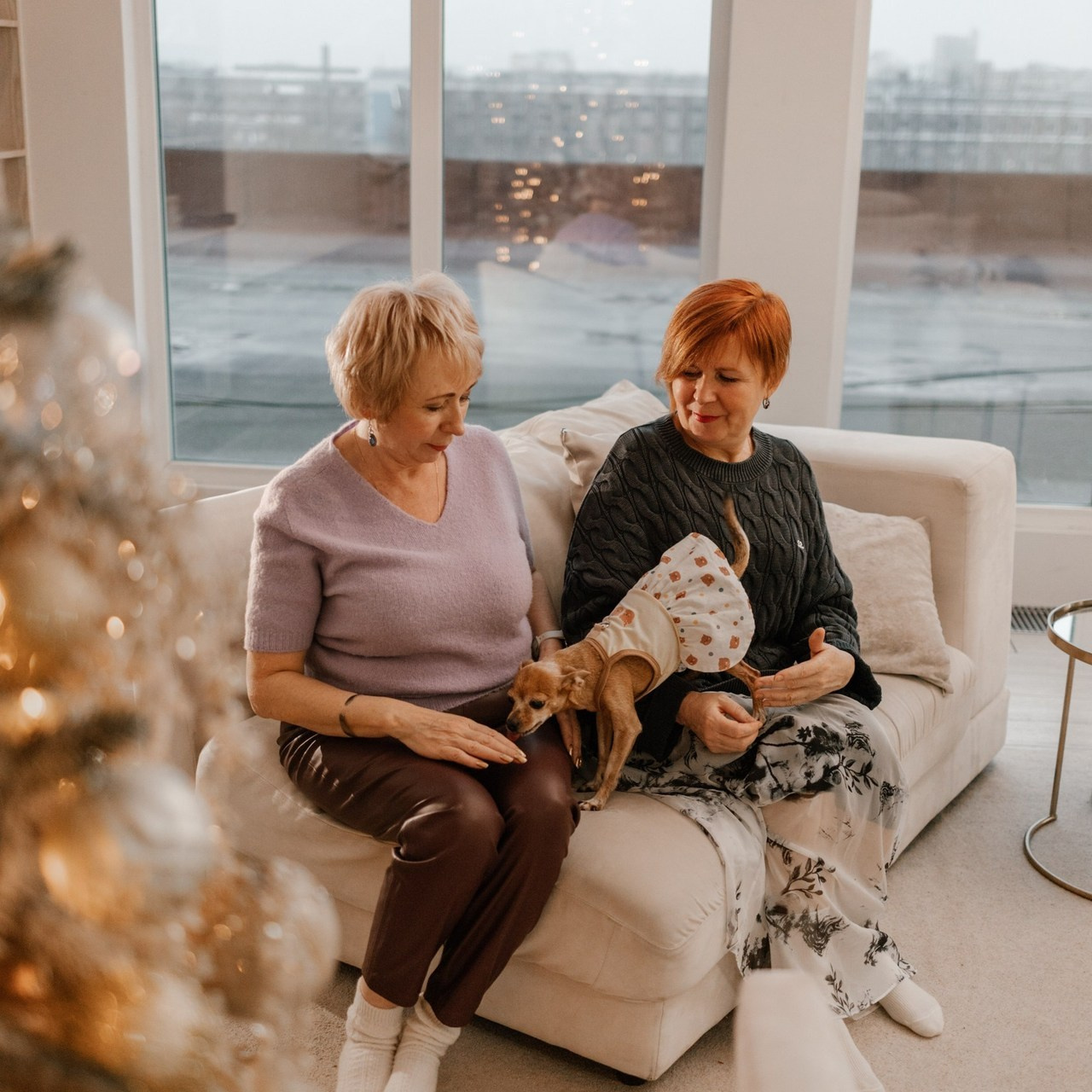 Отзывы. Фотограф — Анималист | Санкт-Петербург