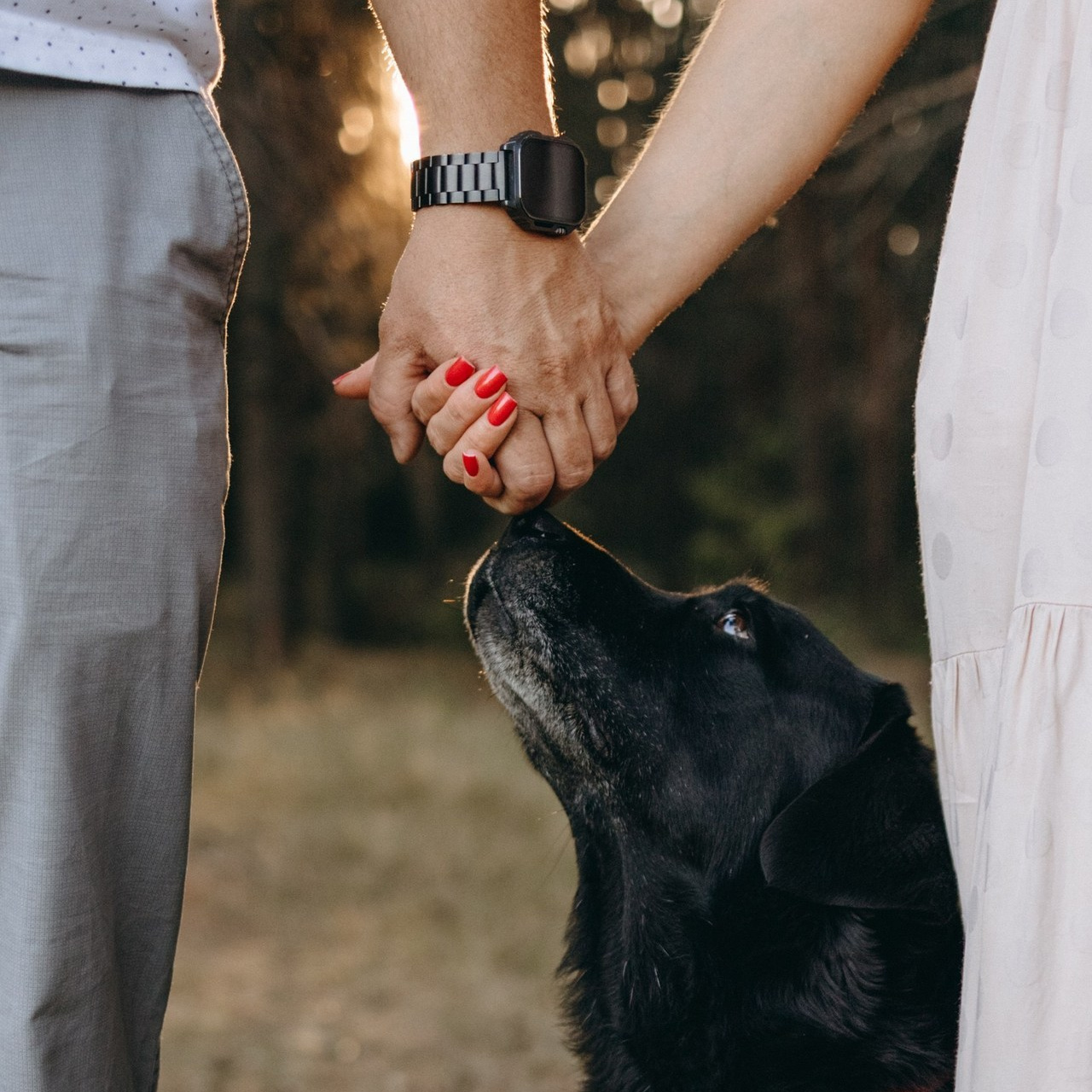 Отзывы. Фотограф — Анималист | Санкт-Петербург