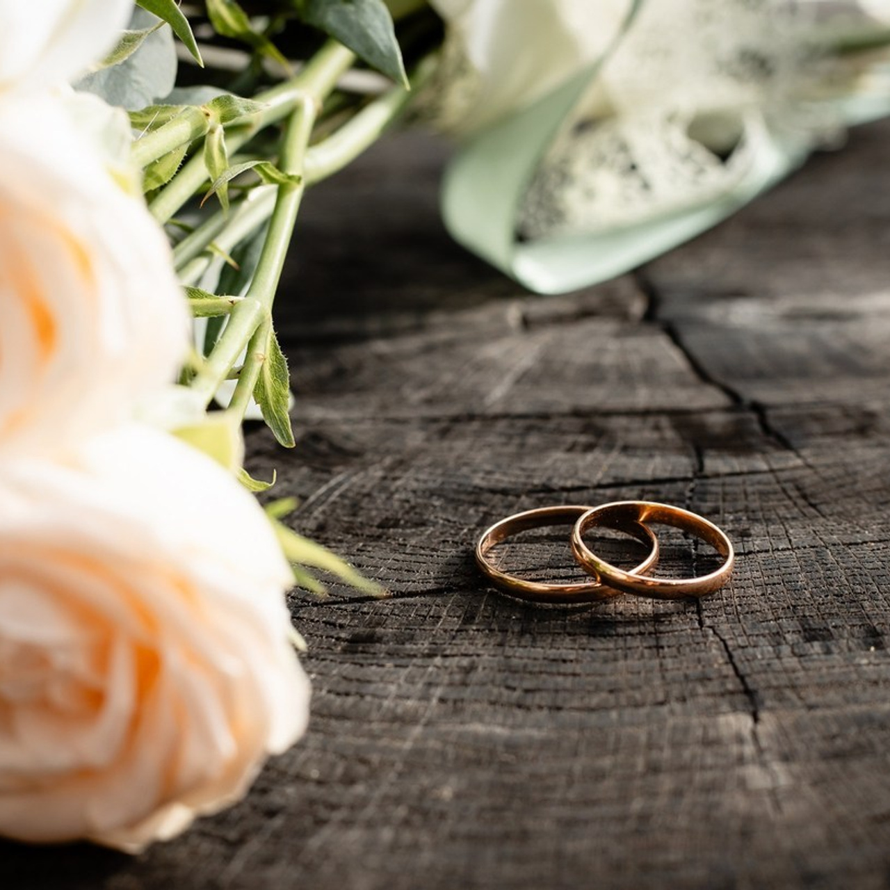 Отзывы. Фотограф Татьяна Орлова