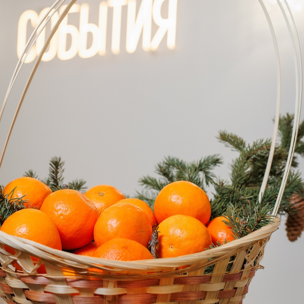 Отзывы. Фотограф Татьяна Орлова