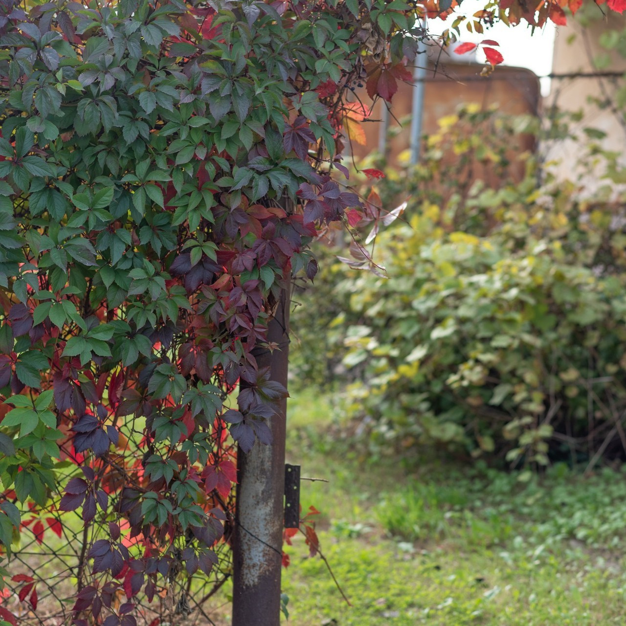 Отзывы. Детский и семейный фотограф в Пскове Катерина Иванова