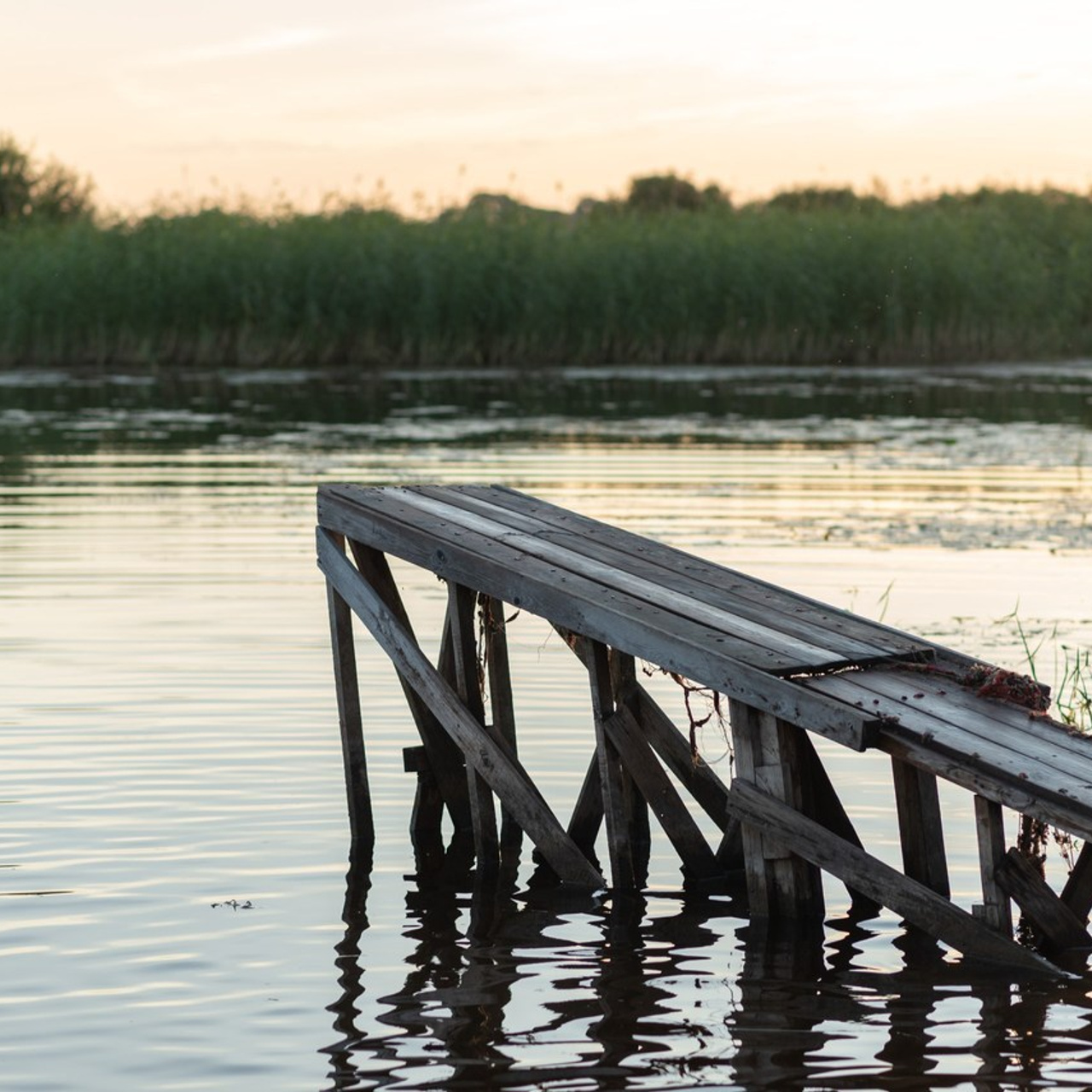 Отзывы. Детский и семейный фотограф в Пскове Катерина Иванова