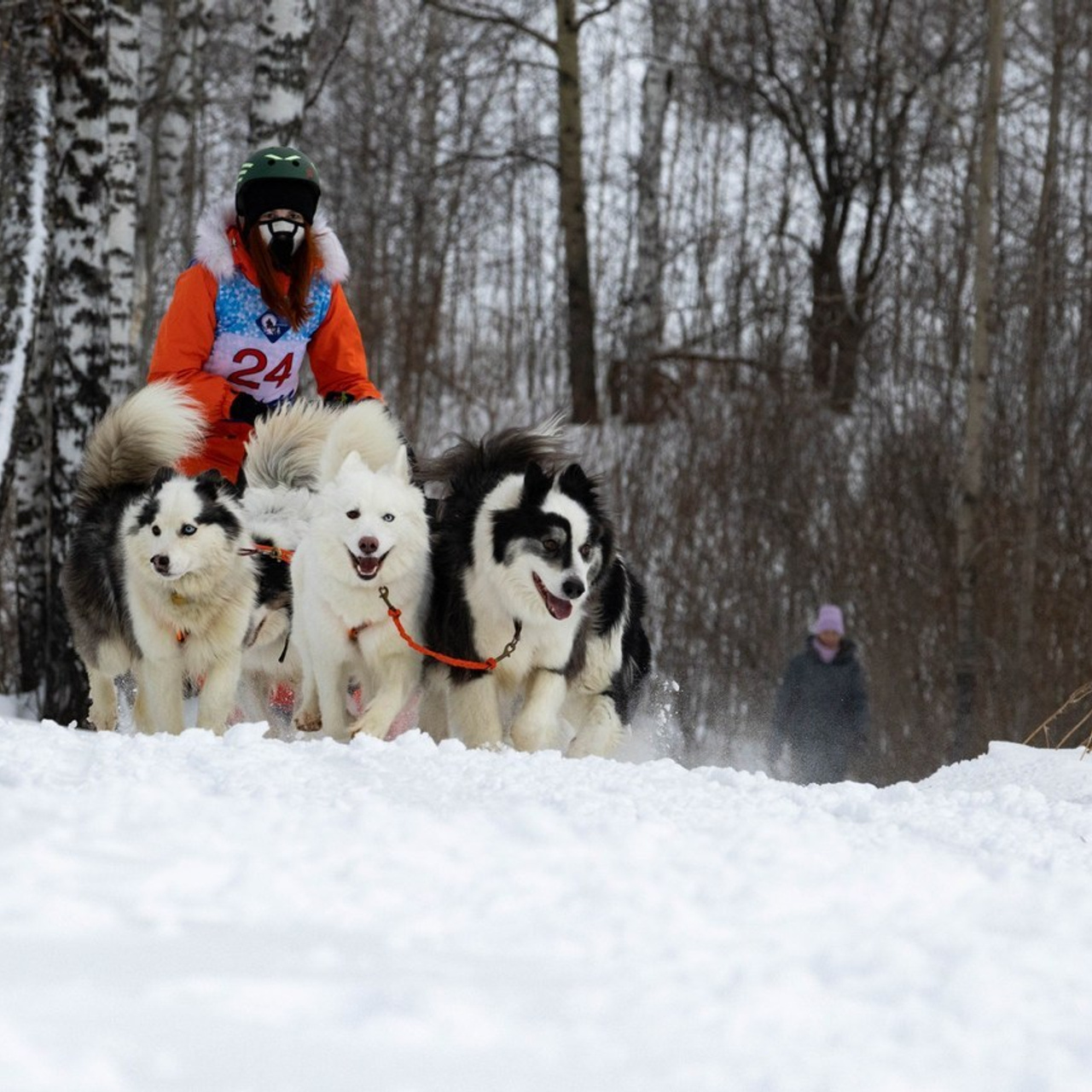 Отзывы. Репортажный и тревел фотограф Мокеров А.С
