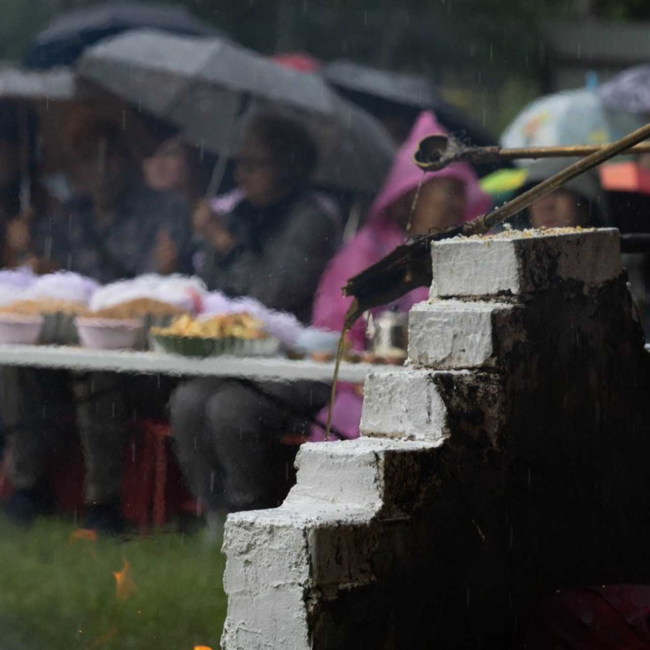 Отзывы. Репортажный и тревел фотограф Мокеров А.С