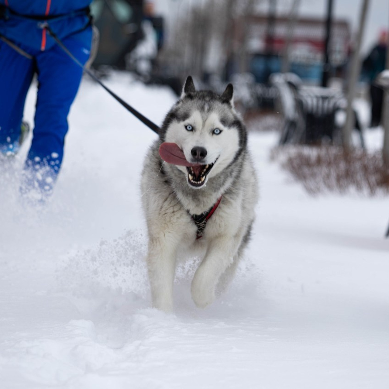Отзывы. Репортажный и тревел фотограф Мокеров А.С