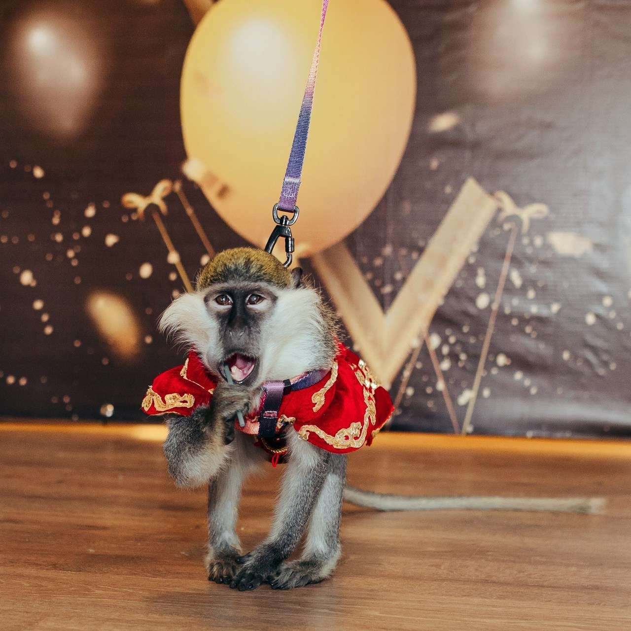 Отзывы. Детский фотограф в Москве Маргарита Чубукова