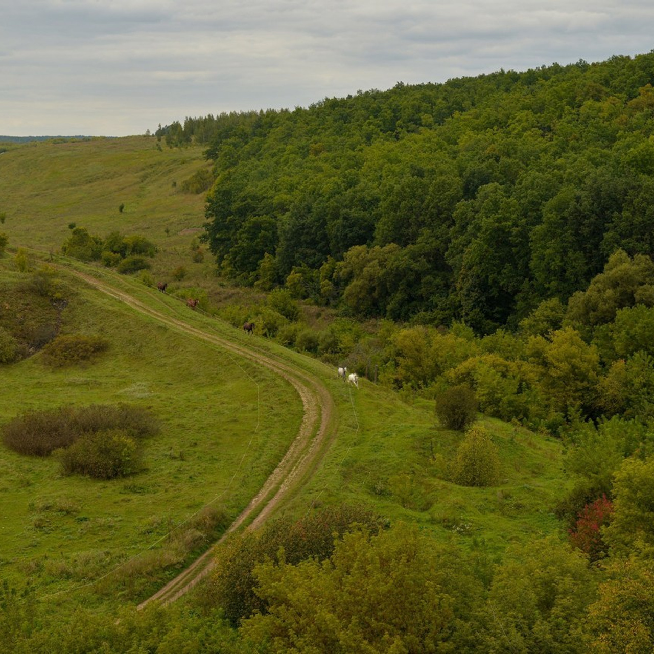 Отзывы. Портретный фотограф Марина Тамбовская