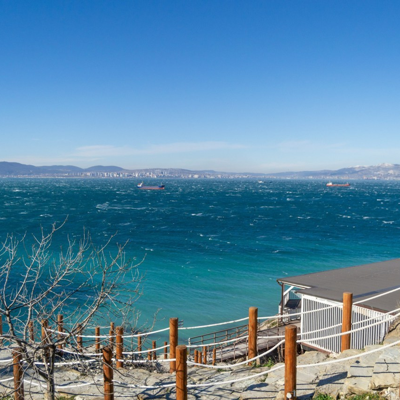 Отзывы. Репортажный фотограф Ольга Ищук