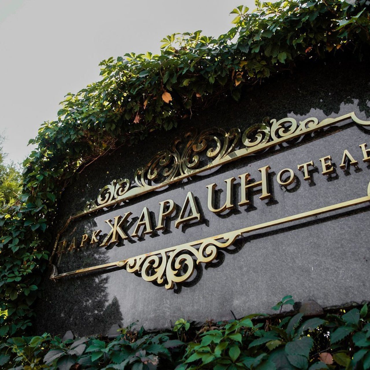 Отзывы. Свадебный фотограф Ростове-на-Дону