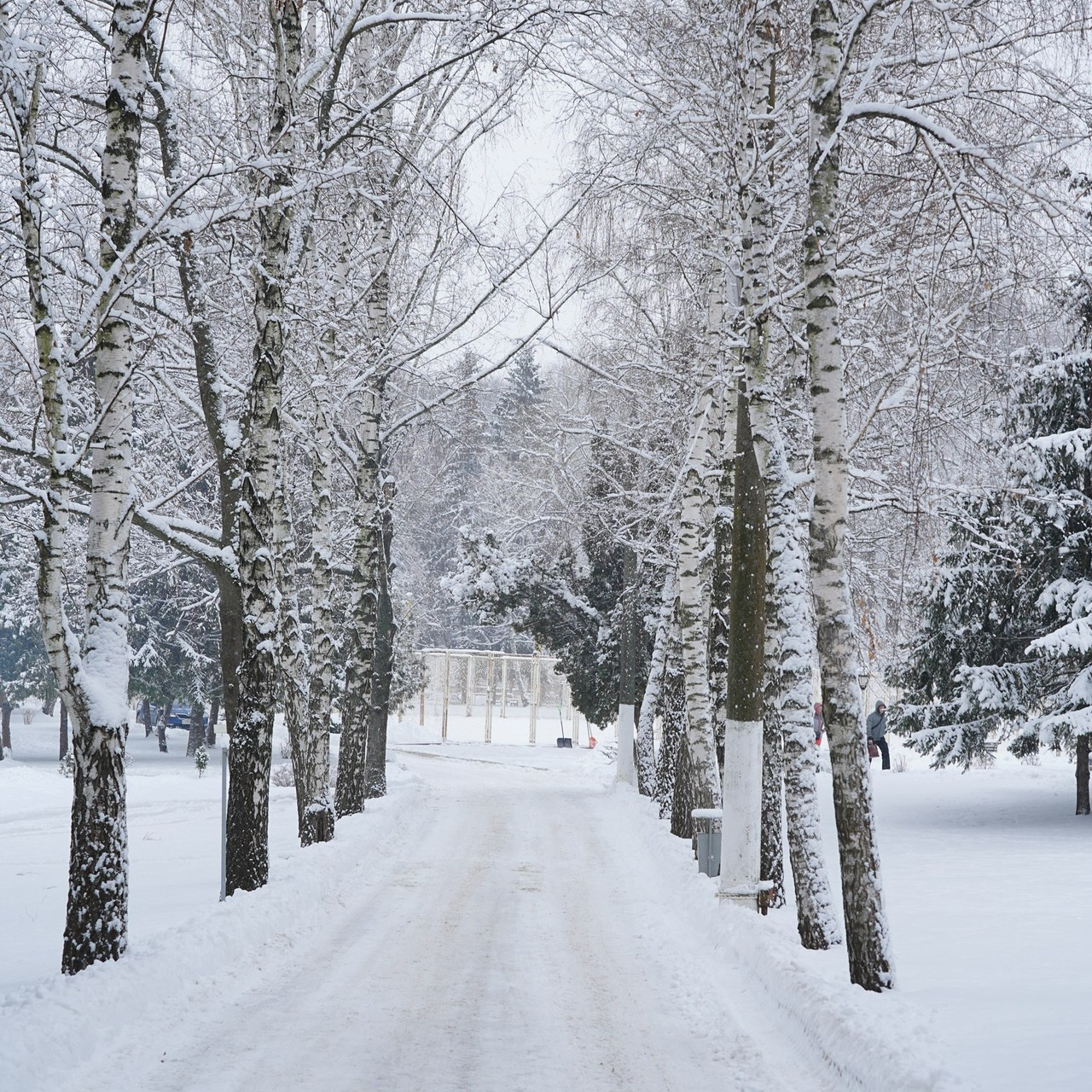 Отзывы о работе фото и видеостудии ЮМИС. Фото и видеостудия Юрия Федяева — ЮМИС