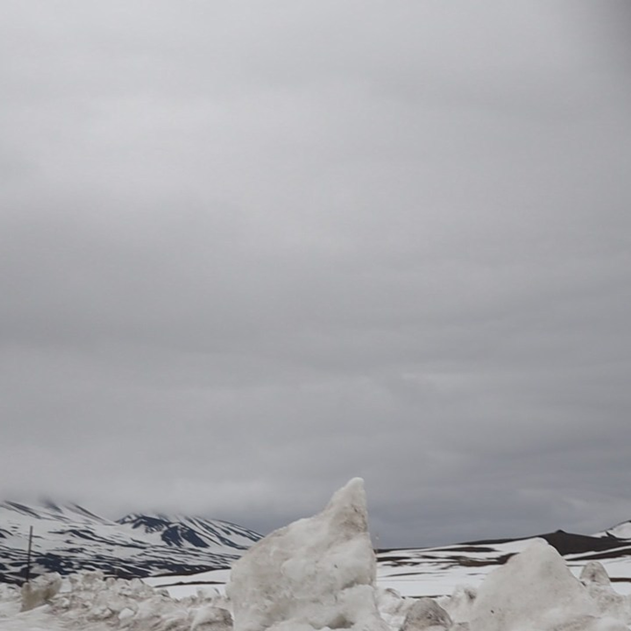 Отзывы. Фотограф Даниил Камчатка