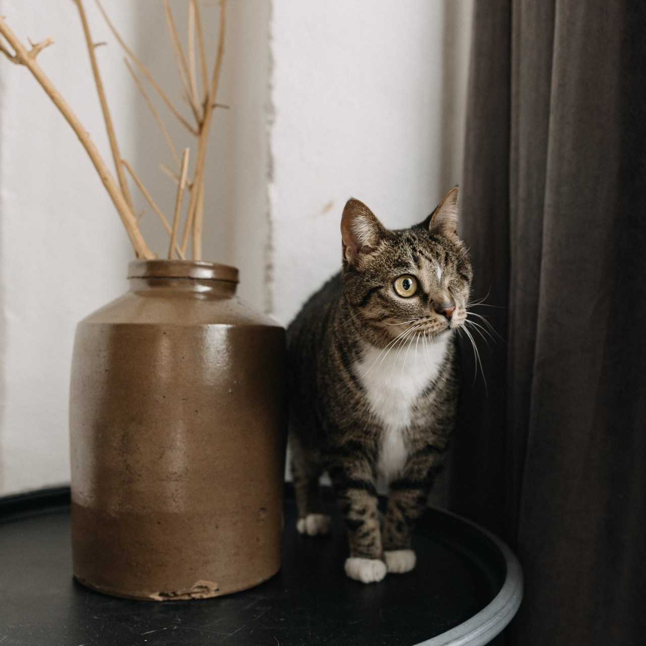 Отзывы. Про любовь