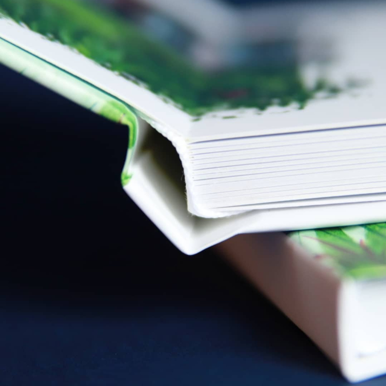 Индивидуальный дизайн. Семейный и детский фотограф в Москве Ольга Тихонкова