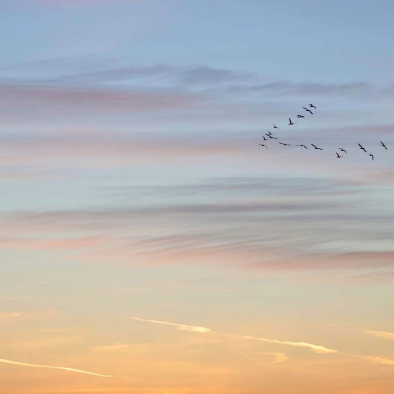 Маяк. Семейный и детский фотограф в Москве Ольга Тихонкова