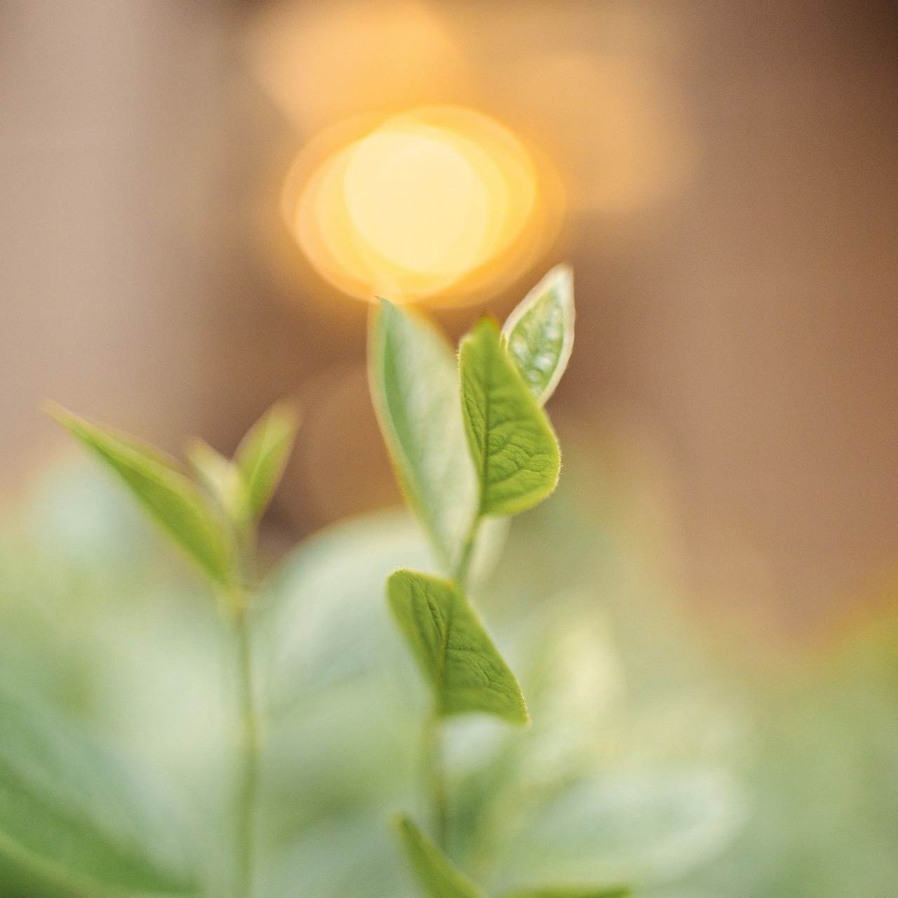 Отзывы. Фотограф Москва — Павел Михайлов