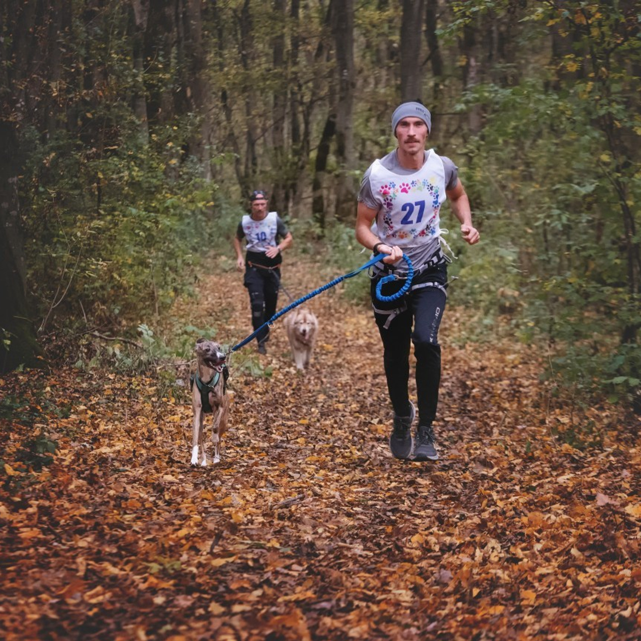 Отзывы. Фотограф анималист Ставрополь Яна Кудлай