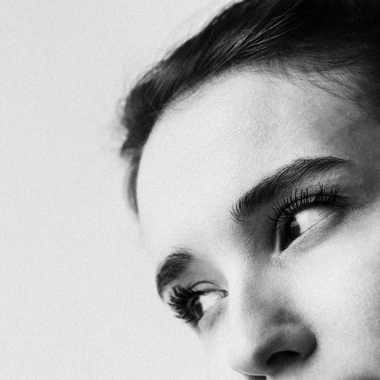 Отзывы. Портретный фотограф в Москве. Фотосессии с собаками