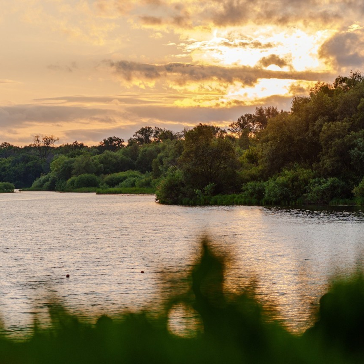 Отзывы. Фотограф в Самаре Иван Сеножатский