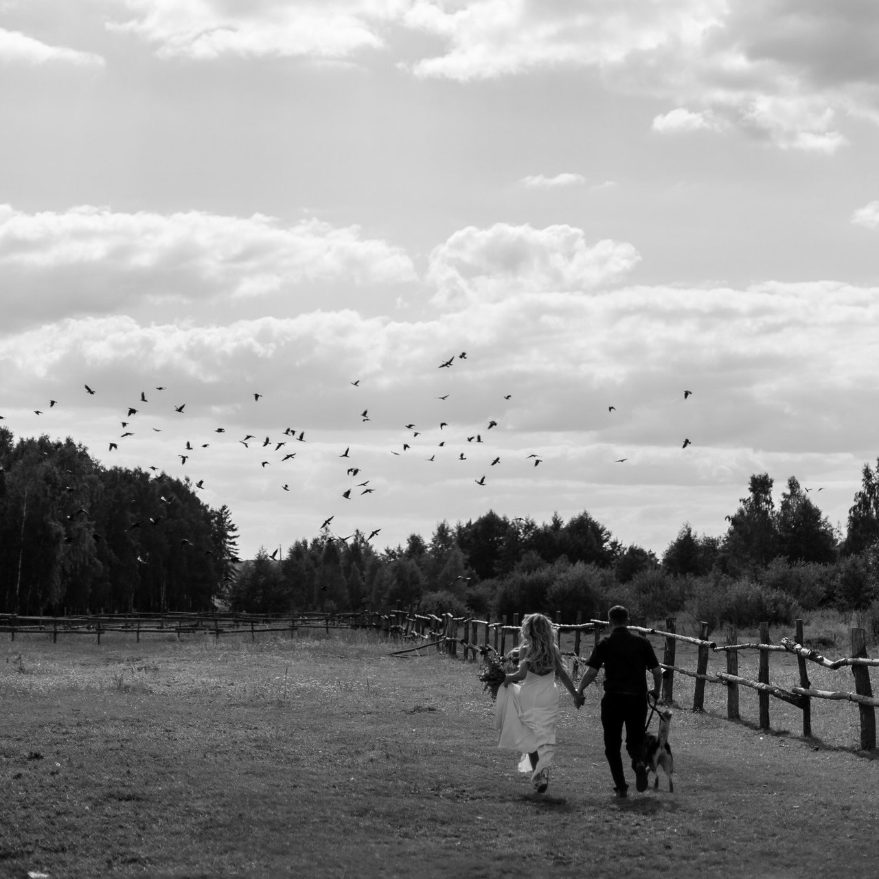 Отзывы. Свадебный и портретный фотограф в Москве, Туле и Брянске Дара Евсеева
