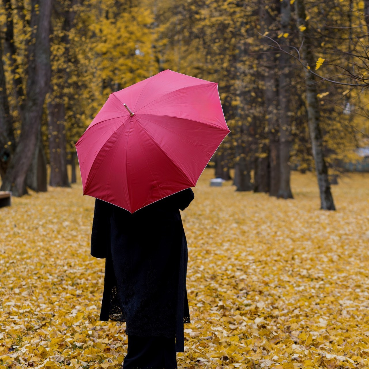 Отзывы. Репортажный Фотограф