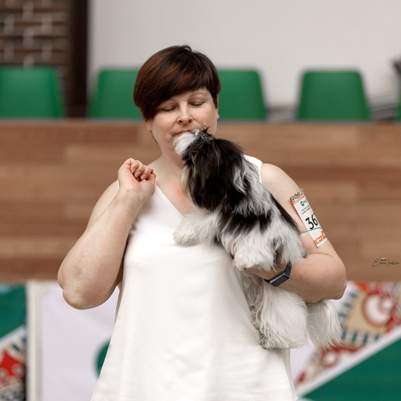 Отзывы. Ice Fantasy kennel: professional breeding of Siberian huskies and wels