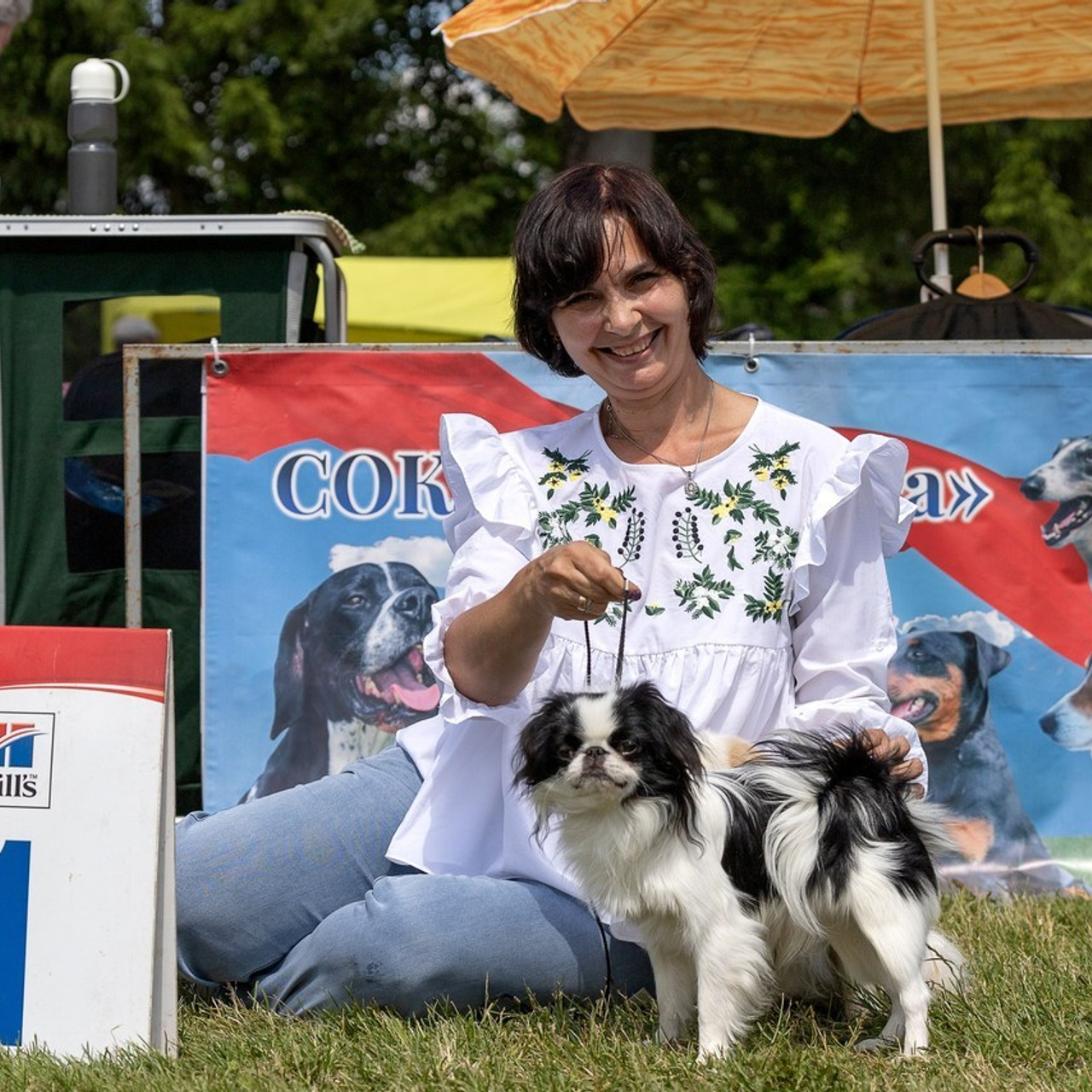 Отзывы. Ice Fantasy kennel: professional breeding of Siberian huskies and wels