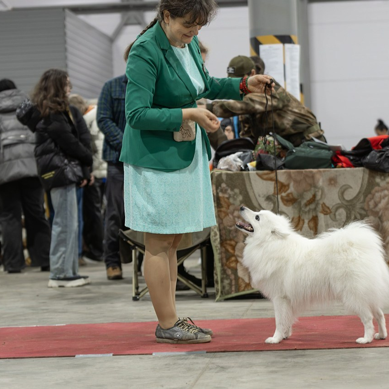 Отзывы. Ice Fantasy kennel: professional breeding of Siberian huskies and wels