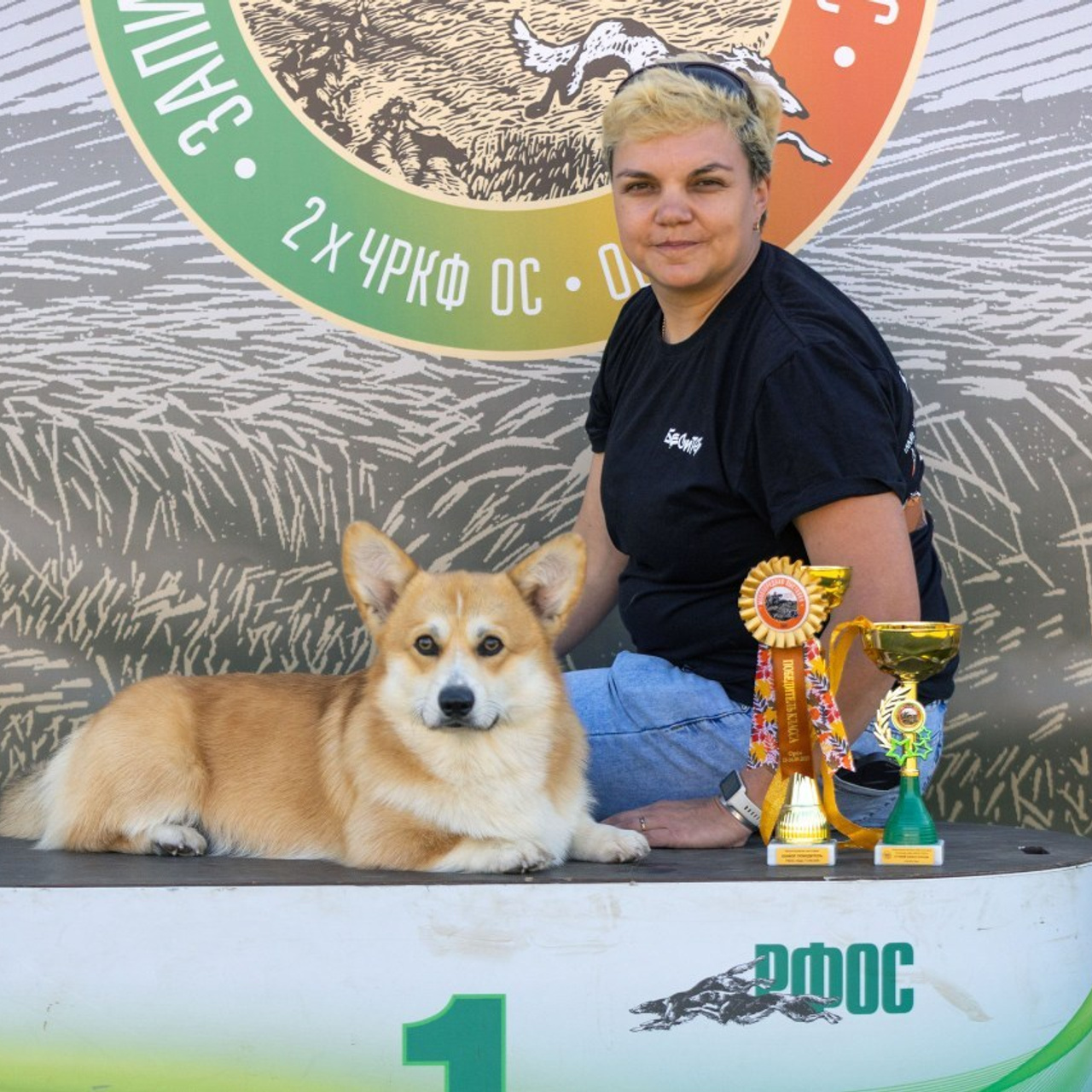 Отзывы. Ice Fantasy kennel: professional breeding of Siberian huskies and wels