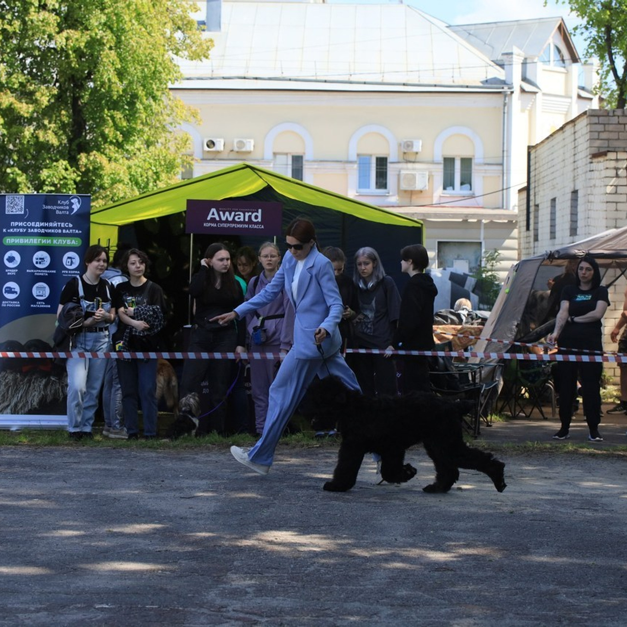 Отзывы. Ice Fantasy kennel: professional breeding of Siberian huskies and wels