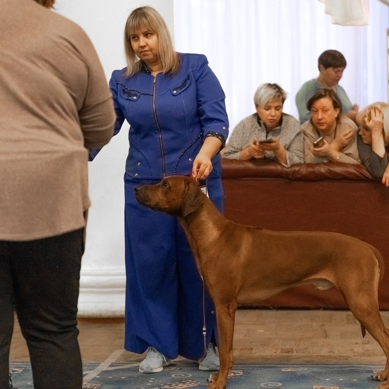 Отзывы. Ice Fantasy kennel: professional breeding of Siberian huskies and wels