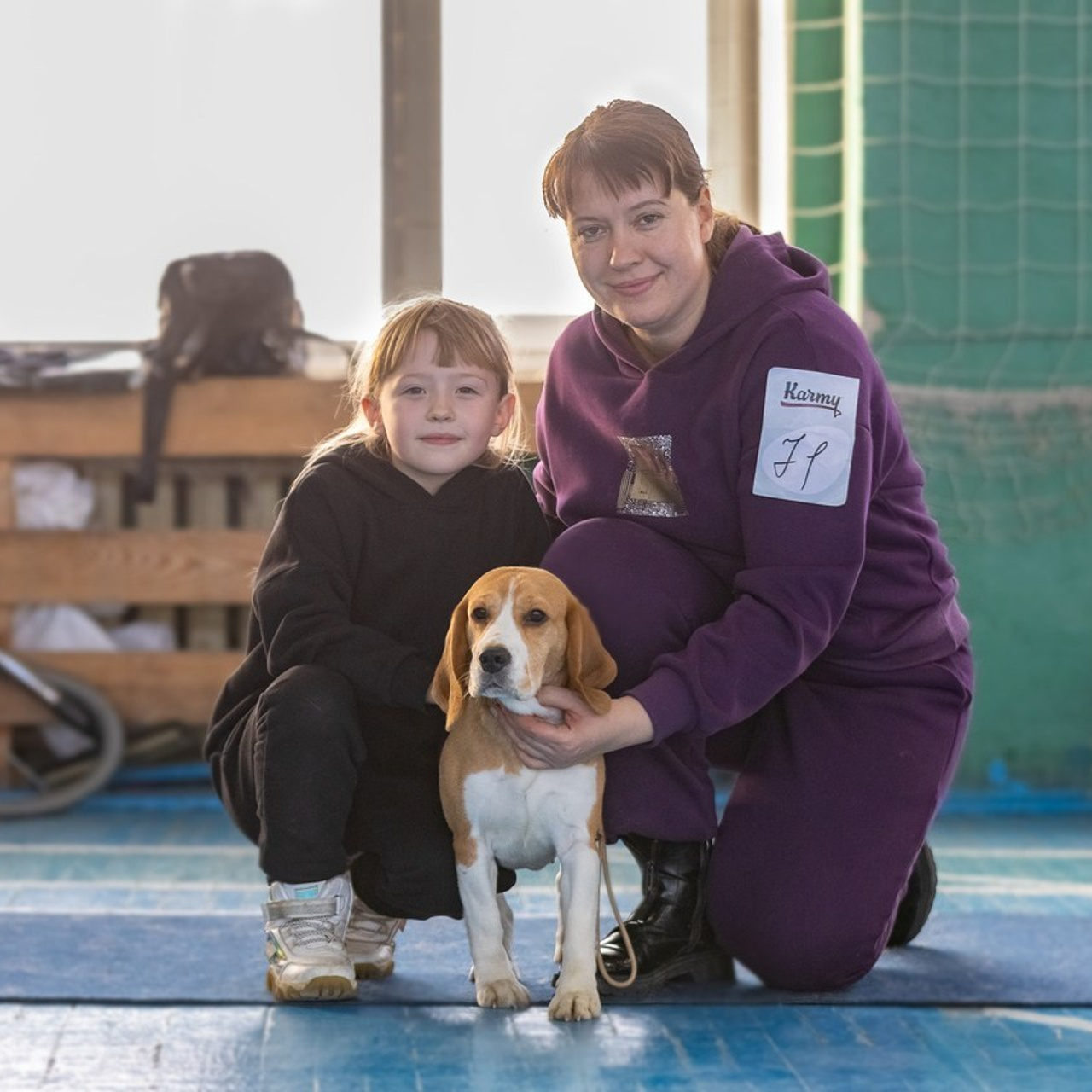 Отзывы. Ice Fantasy kennel: professional breeding of Siberian huskies and wels