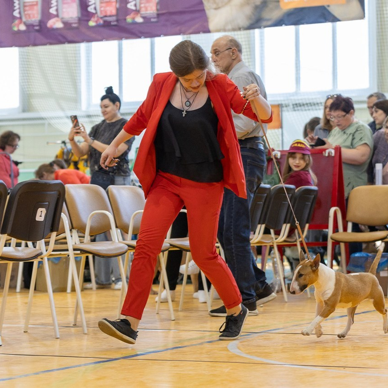 Отзывы. Ice Fantasy kennel: professional breeding of Siberian huskies and wels