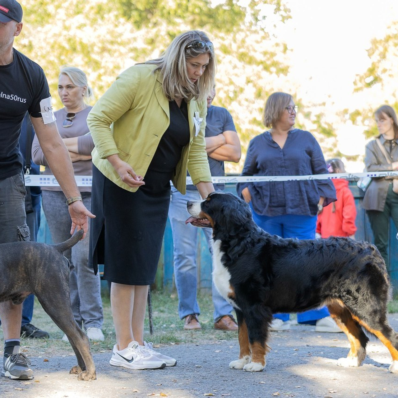 Отзывы. Ice Fantasy kennel: professional breeding of Siberian huskies and wels