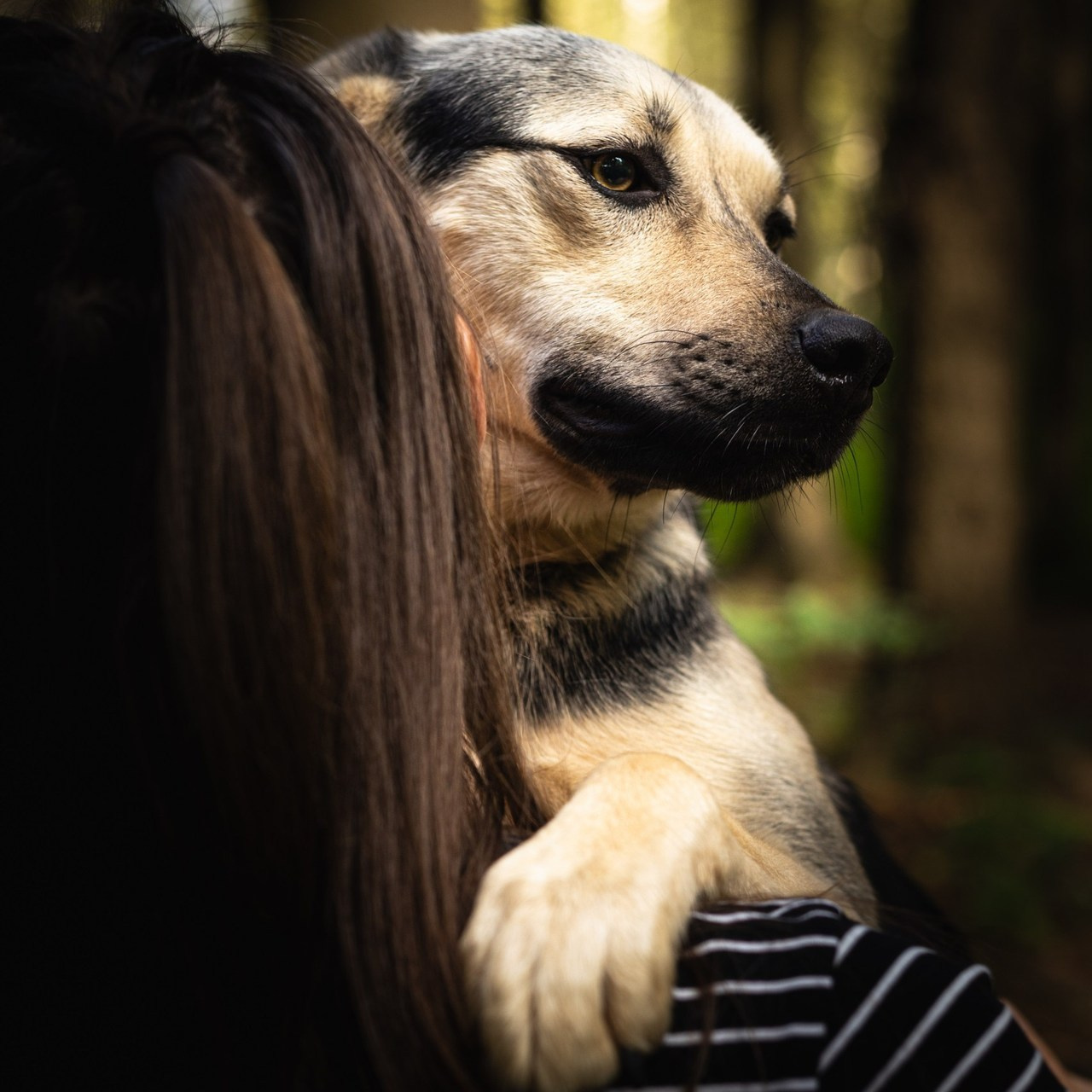 Отзывы. Предметный фотограф Ольга Меркулова
