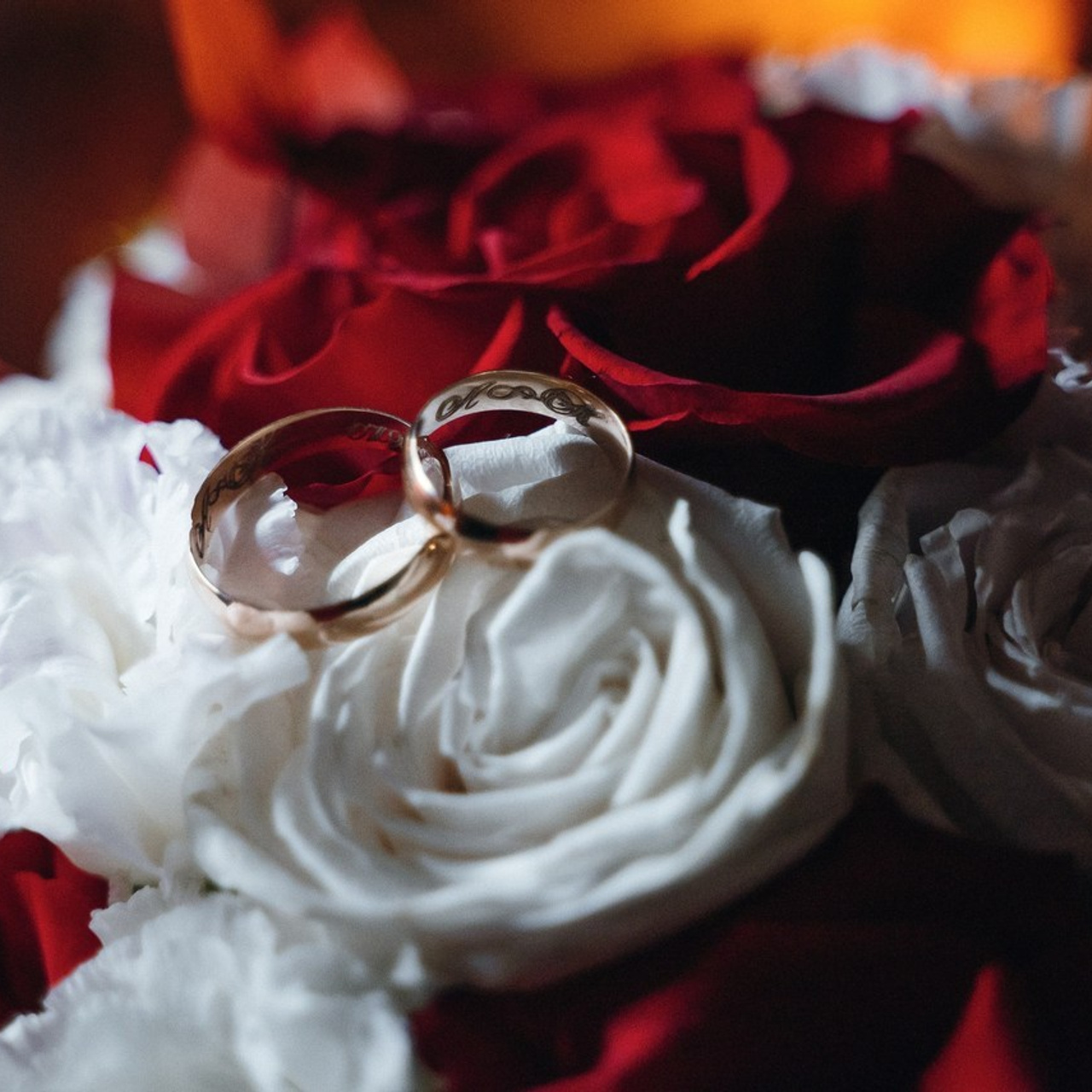 Отзывы. Фотограф в Краснодарском крае Александр Шульга