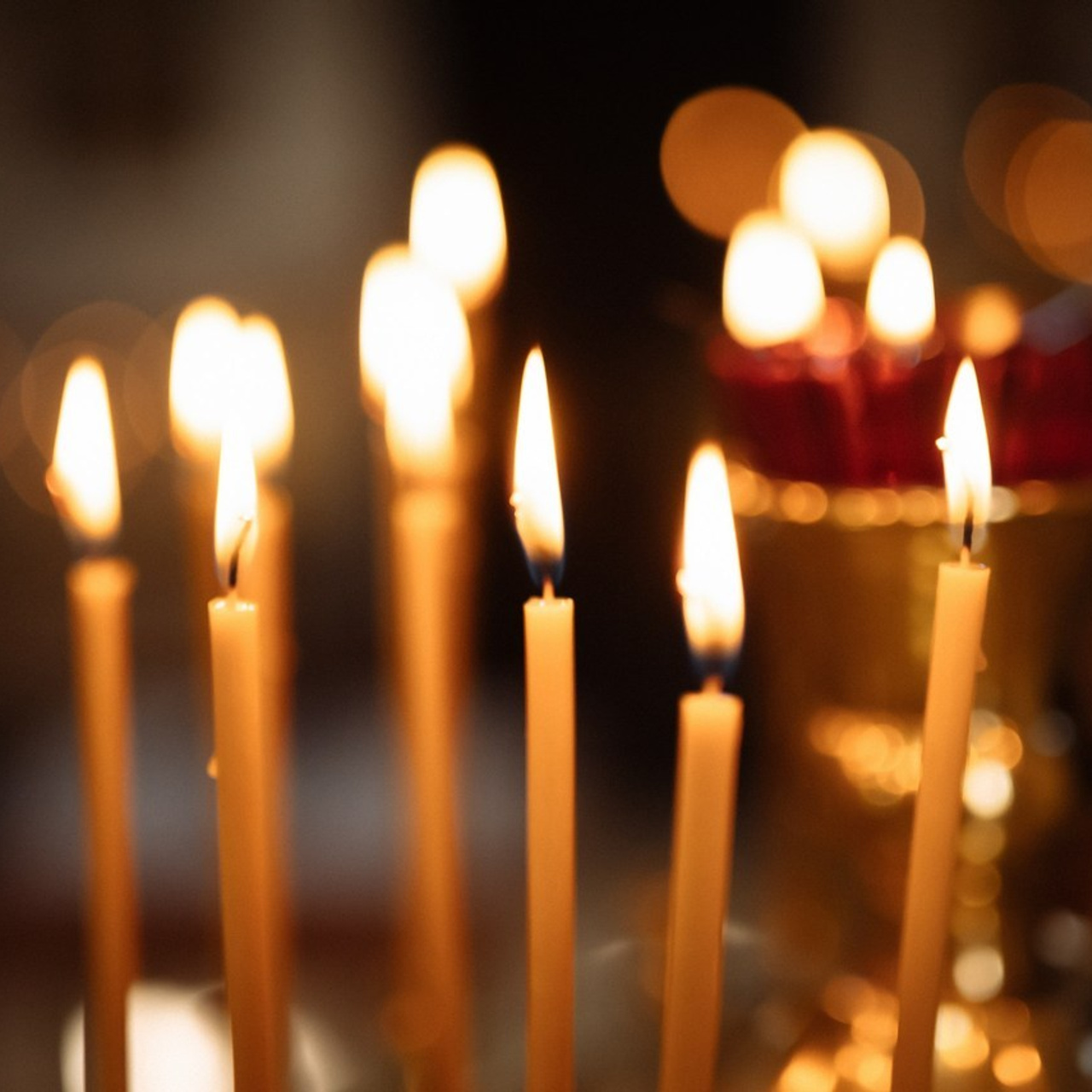 Отзывы. Фотограф в Краснодарском крае Александр Шульга