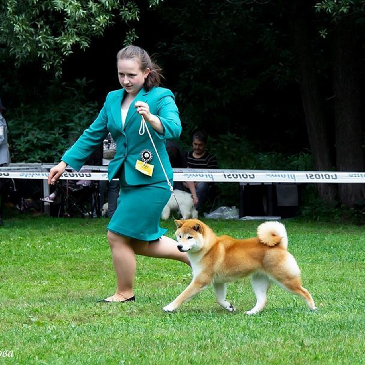 2019. SHIOMARU Shiba and Akita Inu Kennel