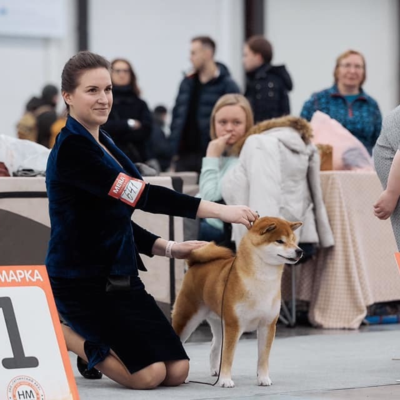 2019. SHIOMARU Shiba and Akita Inu Kennel