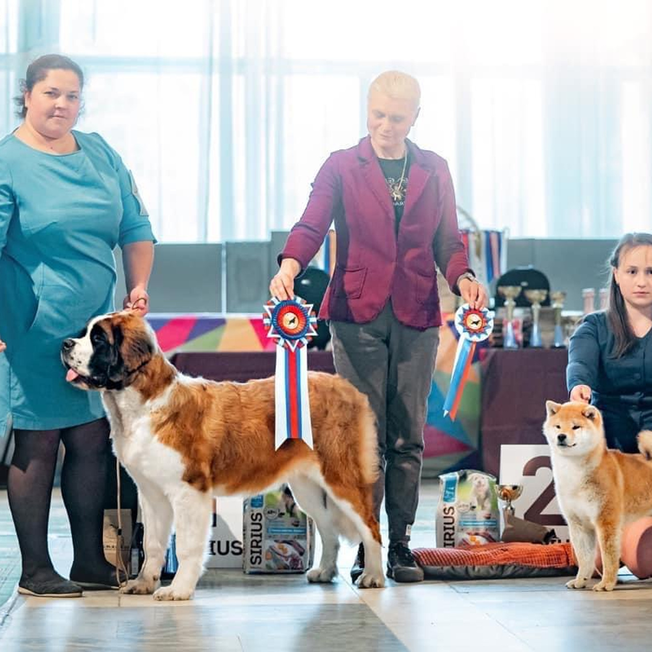 2022. SHIOMARU Питомник сиба и акита-ину